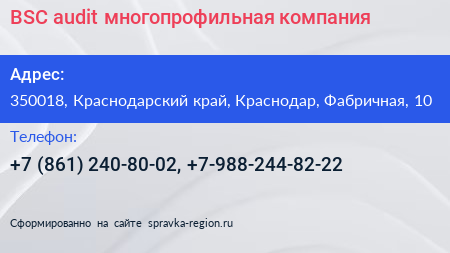 BSC audit многопрофильная компания - визитка