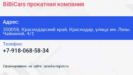 BiBiCars прокатная компания - визитка