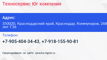 Техносервис Юг компания - визитка