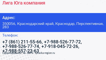 Лига Юга компания - визитка