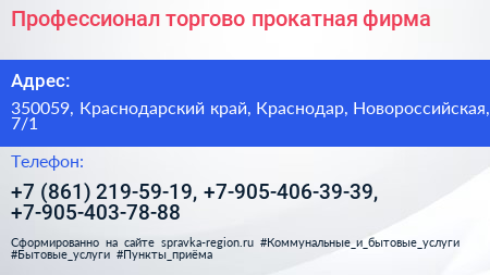 Профессионал торгово прокатная фирма - визитка