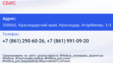 СБИС - визитка