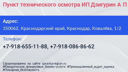 Пункт технического осмотра ИП Дзигурин А П  - визитка