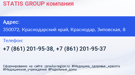 STATIS GROUP компания - визитка