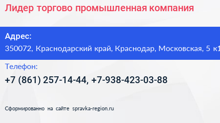 Лидер торгово промышленная компания - визитка