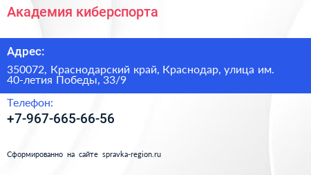 Академия киберспорта - визитка
