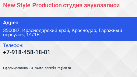 New Style Production студия звукозаписи - визитка