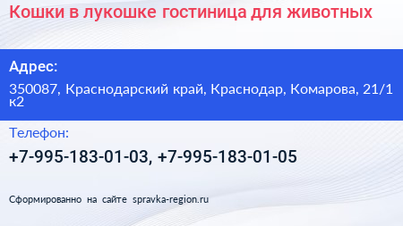 Кошки в лукошке гостиница для животных - визитка