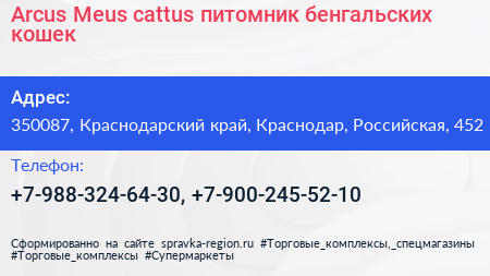 Arcus Meus cattus питомник бенгальских кошек - визитка