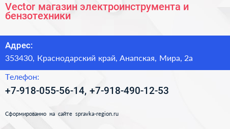 Vector магазин электроинструмента и бензотехники - визитка