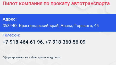 Пилот компания по прокату автотранспорта - визитка