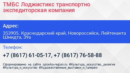 ТМБС Лоджистикс транспортно экспедиторская компания - визитка
