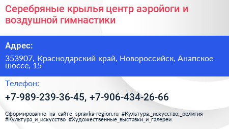 Серебряные крылья центр аэройоги и воздушной гимнастики - визитка