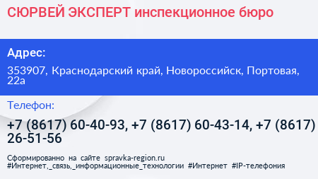 СЮРВЕЙ ЭКСПЕРТ инспекционное бюро - визитка