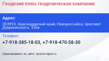 Геодезия плюс геодезическая компания - визитка