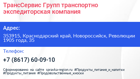 ТрансСервис Групп транспортно экспедиторская компания - визитка