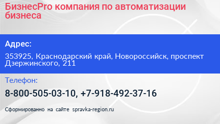 БизнесPro компания по автоматизации бизнеса - визитка