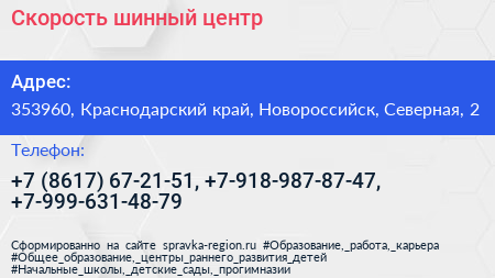 Скорость шинный центр - визитка