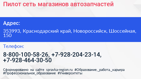 Пилот сеть магазинов автозапчастей - визитка