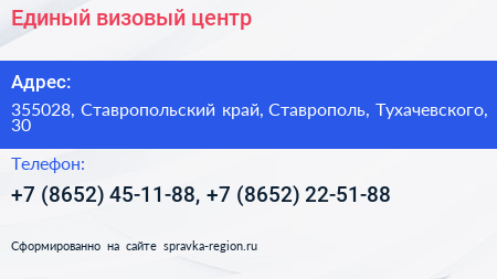 Единый визовый центр - визитка