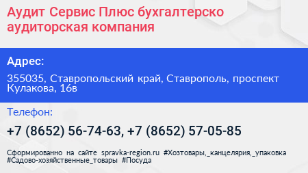 Аудит Сервис Плюс бухгалтерско аудиторская компания - визитка