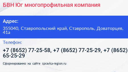 БВН Юг многопрофильная компания - визитка