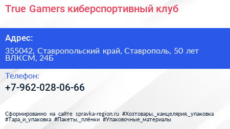 True Gamers киберспортивный клуб - визитка