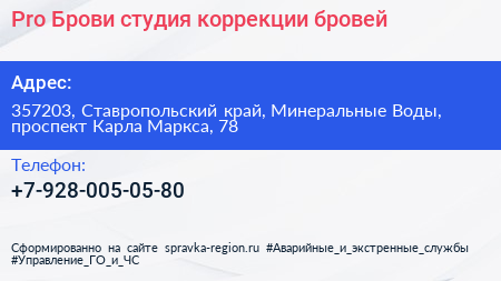 Pro Брови студия коррекции бровей - визитка