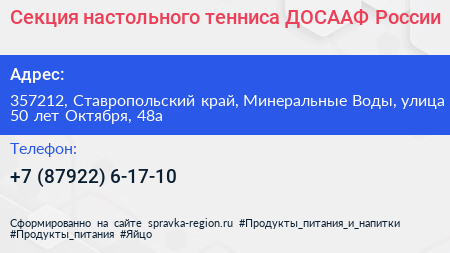 Секция настольного тенниса ДОСААФ России - визитка
