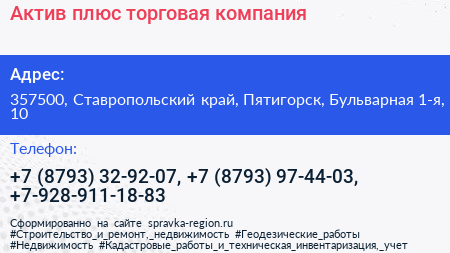 Актив плюс торговая компания - визитка
