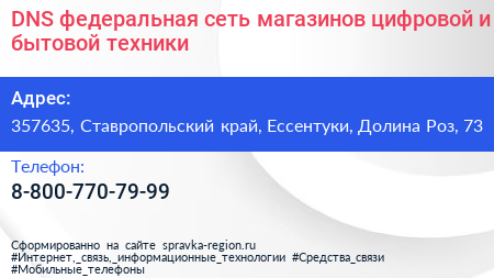 DNS федеральная сеть магазинов цифровой и бытовой техники - визитка