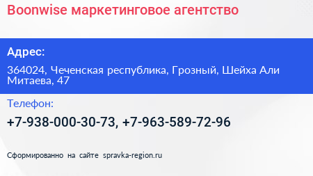 Boonwise маркетинговое агентство - визитка