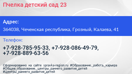 Пчелка детский сад 23 - визитка