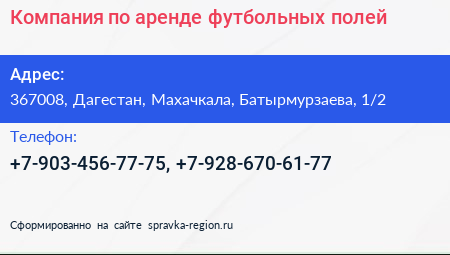 Компания по аренде футбольных полей - визитка