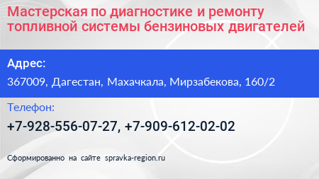 Мастерская по диагностике и ремонту топливной системы бензиновых двигателей - визитка