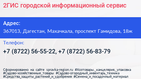 2ГИС городской информационный сервис - визитка