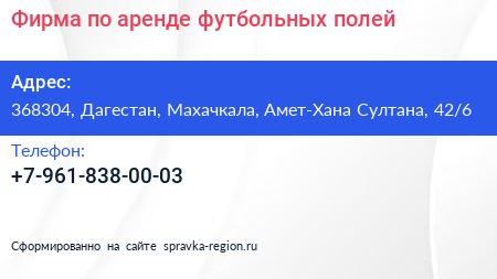 Фирма по аренде футбольных полей - визитка