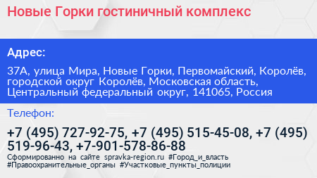Новые Горки гостиничный комплекс - визитка