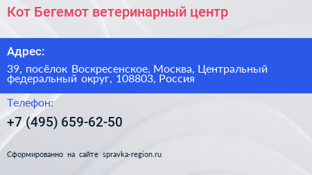 Кот Бегемот ветеринарный центр - визитка