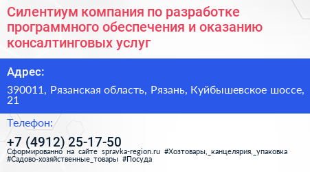 Силентиум компания по разработке программного обеспечения и оказанию консалтинговых услуг - визитка