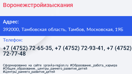 Воронежстройизыскания - визитка