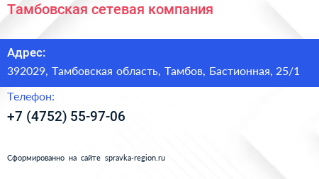 Тамбовская сетевая компания - визитка