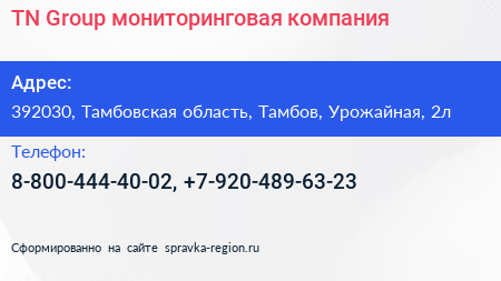 Нажмите, чтобы скачать визитку TN Group мониторинговая компания - визитка