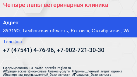 Четыре лапы ветеринарная клиника - визитка