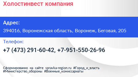 Нажмите, чтобы скачать визитку Холостинвест компания - визитка