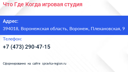 Что Где Когда игровая студия - визитка