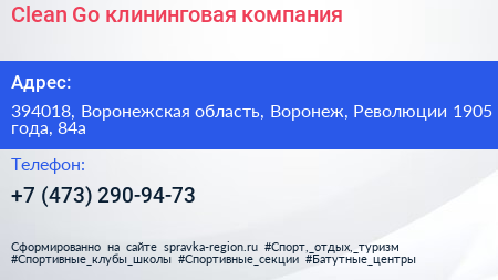 Clean Go клининговая компания - визитка