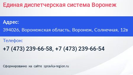 Единая диспетчерская система Воронеж - визитка