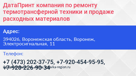 ДатаПринт компания по ремонту термотрансферной техники и продаже расходных материалов - визитка