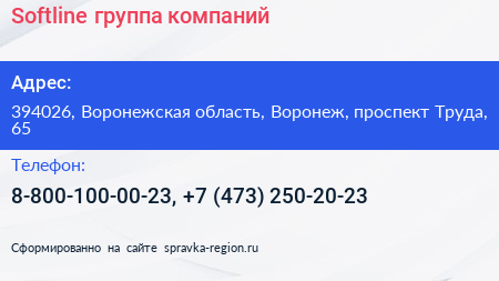 Softline группа компаний - визитка